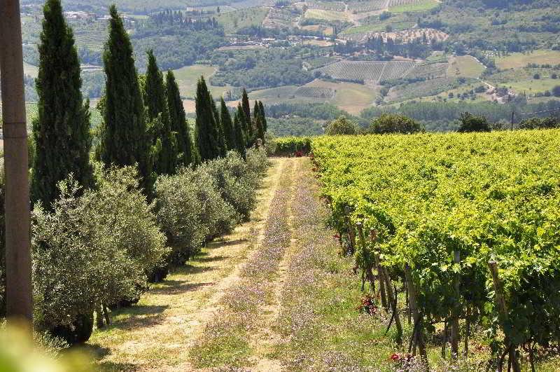 ホテル Borgo Castelvecchi Residenza Depoca ラッダ・イン・キアンティ エクステリア 写真